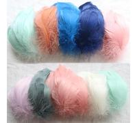 Cheerix Lot de 100 plumes colorées pour le bricolage, 6 à 12 cm, couleur macaron, pour bricolage, boucles d'oreilles, mariage, attrape-rêves, plumes de coiffure, artisanat scolaire, carnaval