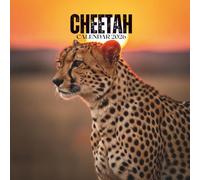 Cheetah Calendar 2026: Annual Organizer with U.S. Holidays • Wildlife Safari Views & Note Space • Square 8.5x8.5