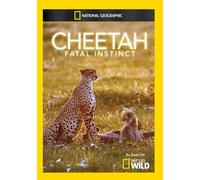 Cheetah Fatal Instinct