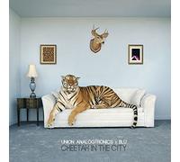Cheetah in the City