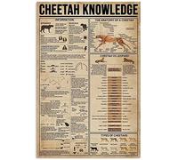 Cheetah Knowledge Metal L'anatomie d'un bureau Chambre Personnes Grotte École Salle de bain Salon garage Café Cuisine Maison Rétro Impression Affiche Décoration murale Meilleur cadeau drôle Plaque Ét