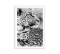 Cheetah Léopard Affiches et empreintes Noir Blanc Animal Mur Art Toile Peinture murale Photos de mur pour salon Décoration de la maison (Color : A, Size : 50x70cm No Frame)
