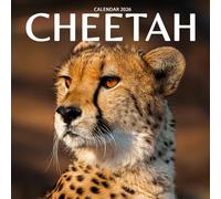 Cheetahs Calendar 2026: Wildlife Photography of the World’s Fastest Big Cats