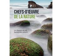 CHEFS-D'OEUVRE DE LA NATURE Les éléments qui ont façonné notre planète