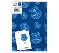 Chelsea FC Lot de 10 feuilles de papier cadeau 10 étiquettes 70 x 50 cm Produit officiel
