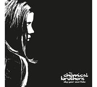 Chemical Brothers – Dig Your Own Hole – CD – Édition 25e anniversaire