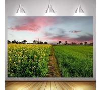 Chemin de Campagne Chemin Entre Les Cultures de canola et de blé Le Paysage du Champ de Fleurs de Colza arrière-Plan de la Photographie 210cmx150cm