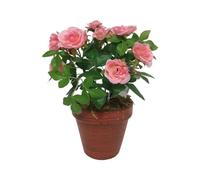 CHEMIN DE CAMPAGNE Rosier Plante Fleur Artificielle extérieur cimetière Tissu Rose 23 cm
