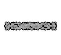 Chemin de table noir imperméable pour Halloween 33 x 172,7 cm avec toiles d'araignées et chauve-souris pour une ambiance envoûtante décorations d'événement sur le thème