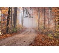 Chemin forestier - Coffret de Puzzle Impossible de 5000 pièces, Puzzle 3D, Jouet, Cadeau Unique, décoration intérieure (14 Ans+)