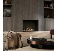 Cheminée à gaz DRU Maestro 100 RCH Gaz naturel G25 (L/LL) sans PowerVent, Rib-Cast, LED, CV-Glas