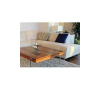 Cheminée de table en inox brossée, et pare feu en verre trempé thermorésistant