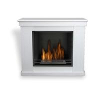 Cheminée bioéthanol murale en bois, bio-cheminée avec brûleur de 1,7 L, cheminée écologique Raffaello 3 kW