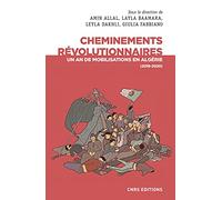 Cheminements révolutionnaires - Un an de mobilisations en Algérie (2019-2020)