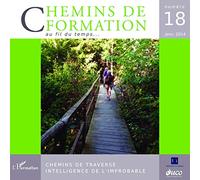 Chemins de traverse Intelligence de l'improbable - Martine Lani-Bayle - Teraedre - broché - Revue