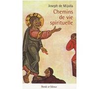 Chemins de vie spirituelle De mijolla j (Auteur)