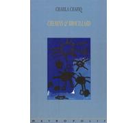 Chemins et brouillard - Chahla Chafiq - Metropolis Eds - broché - Nouvelles