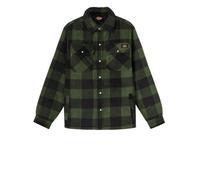 Chemise à carreaux Portland Vert - Dickies S