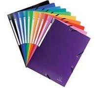 Exacompta - Réf. 55918E - 1 chemise à élastiques économique - pochette 3 rabats - en polypropylène opaque - dimensions 24 x 32 cm pour documents au format A4 - couleur violet