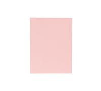 Exacompta - Réf. 339003E - Paquet de 50 chemises rigides avec 1 rabat SUPER 210 g/m² - couleurs pastel - chemises certifiées PEFC™- dimensions 24 x 32 cm pour documents format A4 - couleur rose