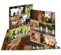 Chemise à rabats HERMA "Animaux de la ferme" Carton DIN A4