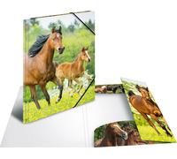 Chemise à rabats HERMA "Chevaux" en PP DIN A3