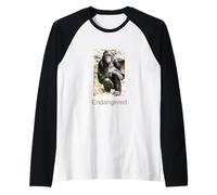 Chemise Bonobo Endangered Bonobo Endangered Great Ape Manche Raglan
