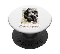 Chemise Bonobo Endangered Bonobo Endangered Great Ape PopSockets PopGrip Adhésif