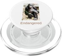 Chemise Bonobo Endangered Bonobo Endangered Great Ape PopSockets PopGrip pour MagSafe