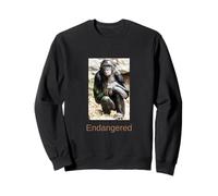 Chemise Bonobo Endangered Bonobo Endangered Great Ape Sweatshirt