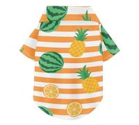 Chemise d'été à rayures oranges et blanches pour chien - Chemise boutonnée douce, légère et respirante - Parfait pour un usage quotidien et des séances photo