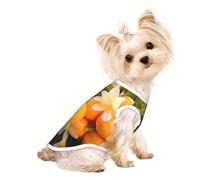 Chemise d'été pour chien avec imprimé fleurs jaunes et fruits oranges 2 T-shirt extensible pour chats et chiens