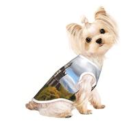Chemise en coton pour chien, taille L, t-shirt extensible pour animaux domestiques, motif monuments historiques de l'Arménie pour chiens de taille moyenne et petite