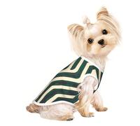Chemise et pull élégants pour chien - Motifs personnalisés uniques pour petits, moyens - Parfait pour un usage quotidien et des occasions spéciales debout dans une pièce avec lumière verte moyenne