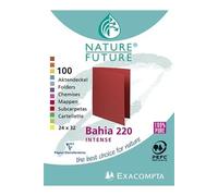 Exacompta Chemises Rock's en carte 210 g Paquet de 100 Gris