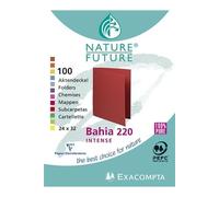 Chemise Exacompta - Paquet de 100 chemises Bahia "220" 24x32cm Menthe