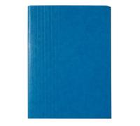 Exacompta Chemise extensible Jumbo à rabats à velcro dos 10 cm bleue - Lot de 10 G