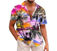 Chemise hawaïenne à manches courtes boutonnée - Chemise à imprimé floral funky - Chemise légère et décontractée - Coupe droite - Chemise de plage extensible - Coupe classique - Respirant et