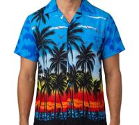 Chemise Hawaienne à Manches Courtes - Décontractées pour Hommes - Chemises de Fête de Plage et d'Enterrement de Vie de Garçon