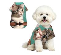 Chemise hawaïenne à Motif Chat Curieux - Haut boutonné en Peau de pêche Douce, Style Plage décontracté, Taille XL