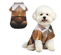 Chemise hawaïenne pour Chien du Louvre à Paris