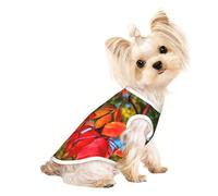 Chemise légère à imprimé feuilles rouges et fruits d'automne pour chien, t-shirt d'été frais et respirant, vêtements extensibles sans manches pour animaux de compagnie