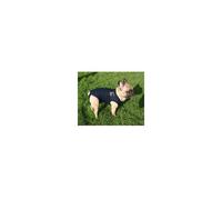 Chemise médicale pour chien - Protection plaies - Confort - Ajustement facile