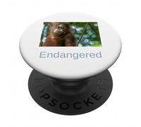 Chemise Orang-outan en Voie de Disparition Orange outan de Sumatra PopSockets PopGrip Adhésif