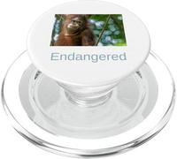 Chemise Orang-outan en Voie de Disparition Orange outan de Sumatra PopSockets PopGrip pour MagSafe
