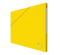 Chemise Oxford eurofolio+ Alpina D15 jaune