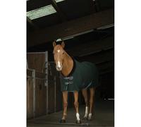 Chemise pour cheval Equithème Teddy 0g Vert 6'6"/198 cm