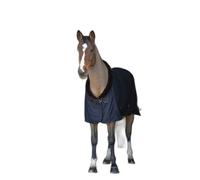 Chemise pour cheval séchante Equithème Teddy 0g Noir 183 cm
