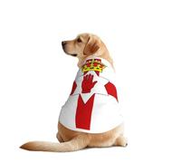 Chemise pour chien Drapeau de l'Irlande du Nord pour chiens de grande et moyenne taille - T-shirt en maille respirante, parfait pour un usage quotidien et des occasions spéciales