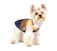 Chemise pour chien en coton doux et respirant avec motif cockpit of an avion, convient pour les petits animaux de compagnie
